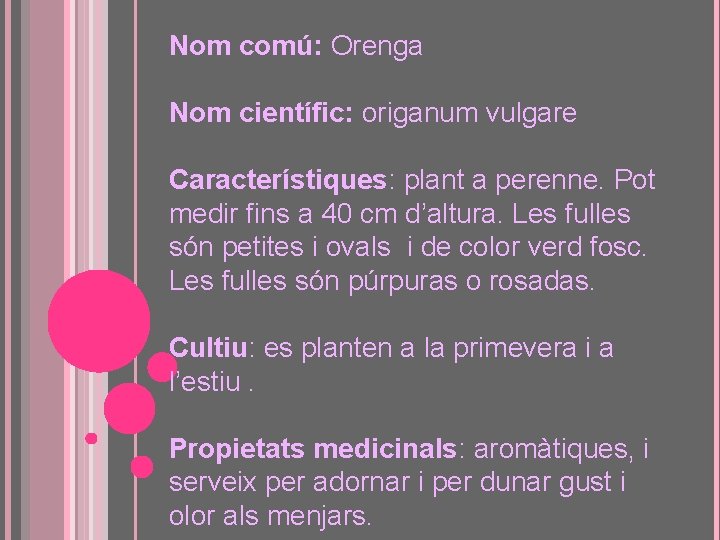 Nom comú: Orenga Nom científic: origanum vulgare Característiques: plant a perenne. Pot medir fins