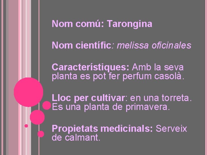 Nom comú: Tarongina Nom científic: melissa oficinales Característiques: Amb la seva planta es pot