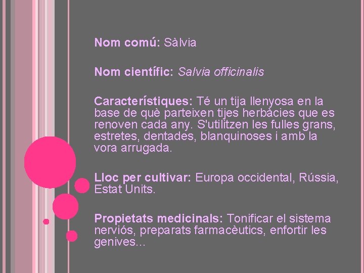 Nom comú: Sàlvia Nom científic: Salvia officinalis Característiques: Té un tija llenyosa en la