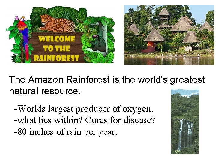 The Amazon Rainforest is the world's greatest natural resource. -Worlds largest producer of oxygen.