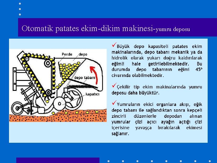 Otomatik patates ekim-dikim makinesi-yumru deposu 