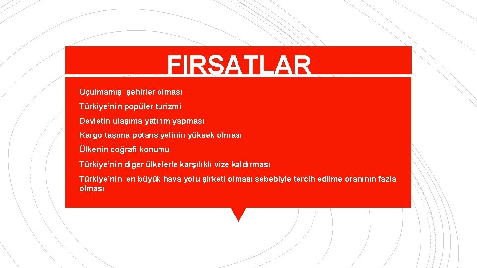 FIRSATLAR • Uçulmamış şehirler olması • Türkiye’nin popüler turizmi • Devletin ulaşıma yatırım yapması