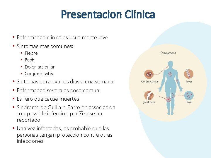 Presentacion Clinica • Enfermedad clinica es usualmente leve • Sintomas comunes: • • Fiebre