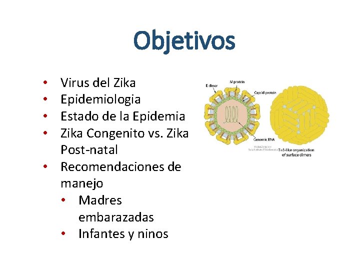 Objetivos Virus del Zika Epidemiologia Estado de la Epidemia Zika Congenito vs. Zika Post-natal