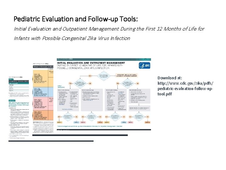 Pediatric Evaluation and Follow-up Tools: Initial Evaluation and Outpatient Management During the First 12