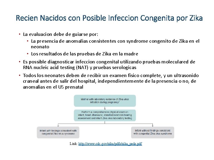 Recien Nacidos con Posible Infeccion Congenita por Zika • La evaluacion debe de guiarse