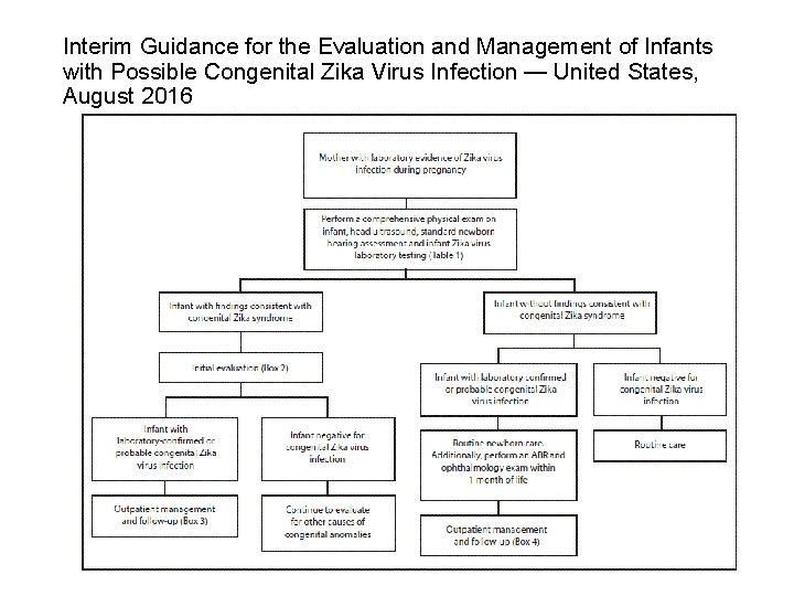 Interim Guidance for the Evaluation and Management of Infants with Possible Congenital Zika Virus