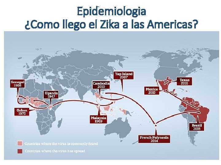 Epidemiologia ¿Como llego el Zika a las Americas? 