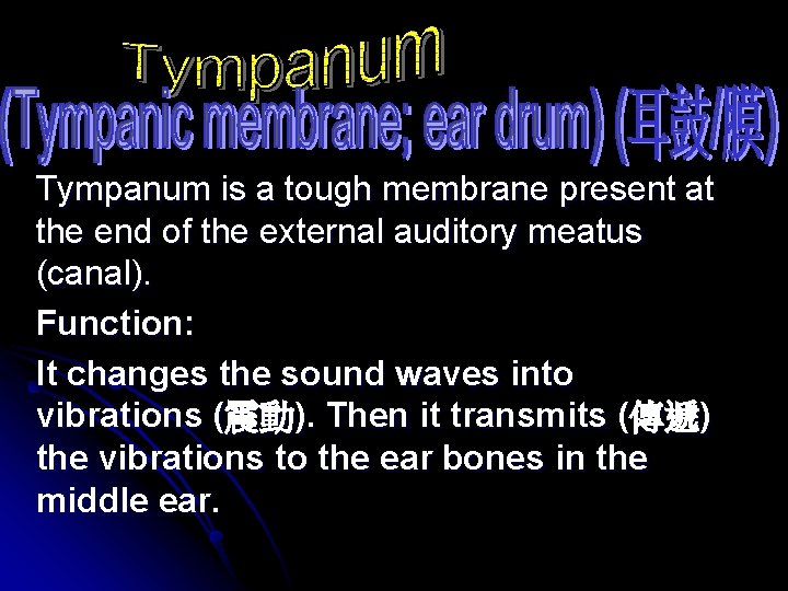 Tympanum is a tough membrane present at the end of the external auditory meatus