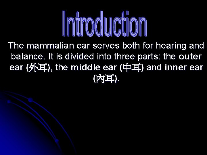 The mammalian ear serves both for hearing and balance. It is divided into three