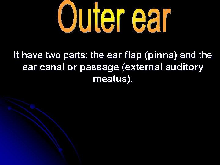 It have two parts: the ear flap (pinna) and the ear canal or passage