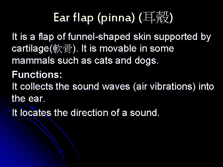 Ear flap (pinna) (耳殼) It is a flap of funnel-shaped skin supported by cartilage(軟骨).