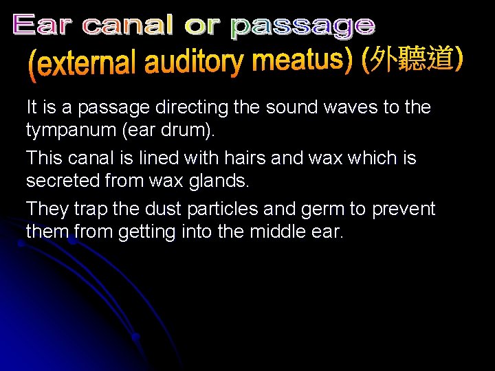 It is a passage directing the sound waves to the tympanum (ear drum). This