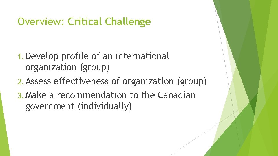 Overview: Critical Challenge 1. Develop profile of an international organization (group) 2. Assess 3.