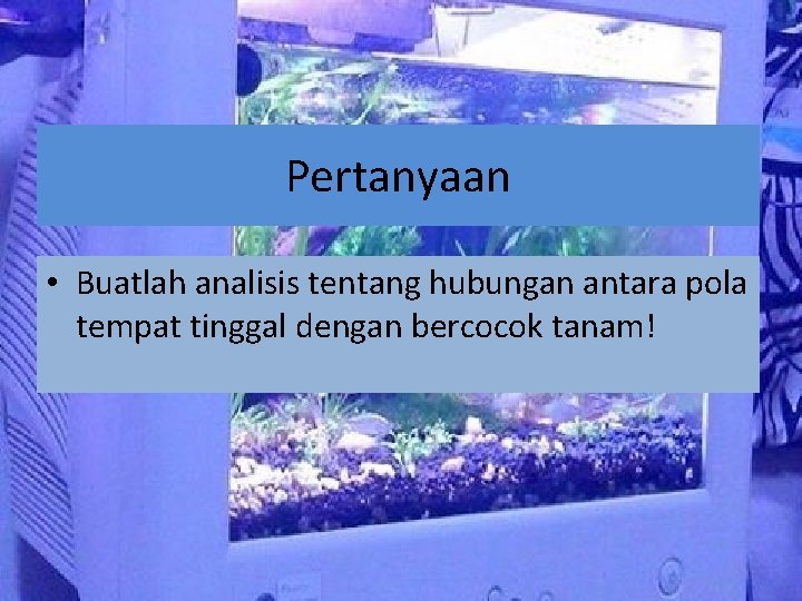 Pertanyaan • Buatlah analisis tentang hubungan antara pola tempat tinggal dengan bercocok tanam! Pertanyaan • Buatlah analisis tentang hubungan antara pola tempat tinggal dengan bercocok tanam!