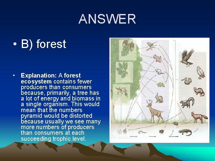 ANSWER • B) forest • Explanation: A forest ecosystem contains fewer producers than consumers