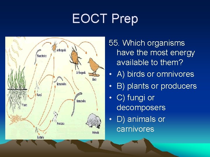 EOCT Prep 55. Which organisms have the most energy available to them? • A)