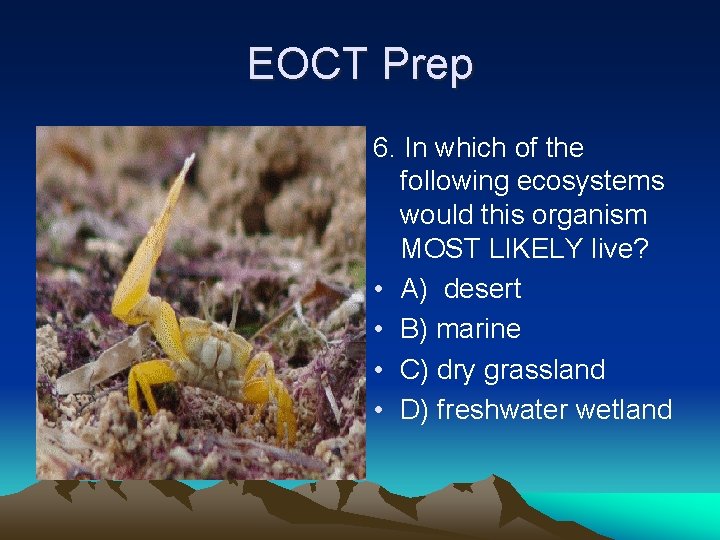EOCT Prep 6. In which of the following ecosystems would this organism MOST LIKELY