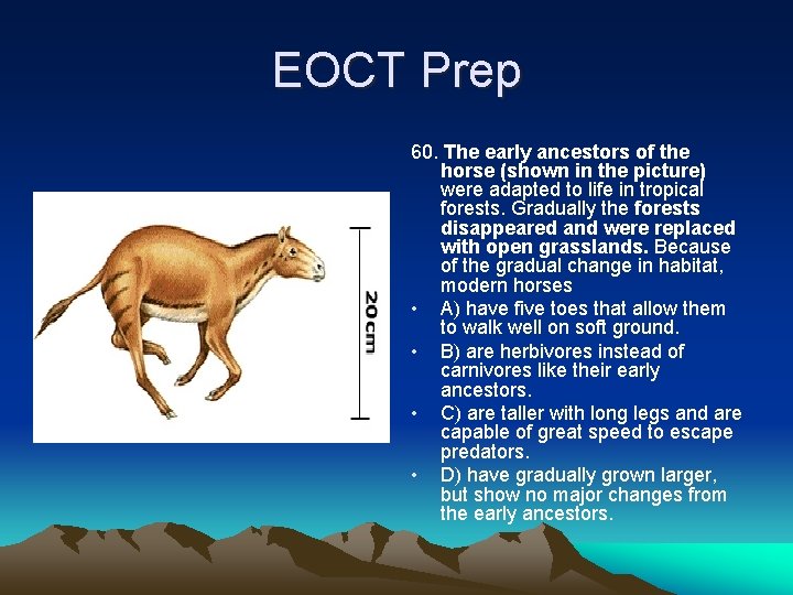 EOCT Prep 60. The early ancestors of the horse (shown in the picture) were