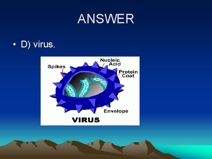 ANSWER • D) virus. 