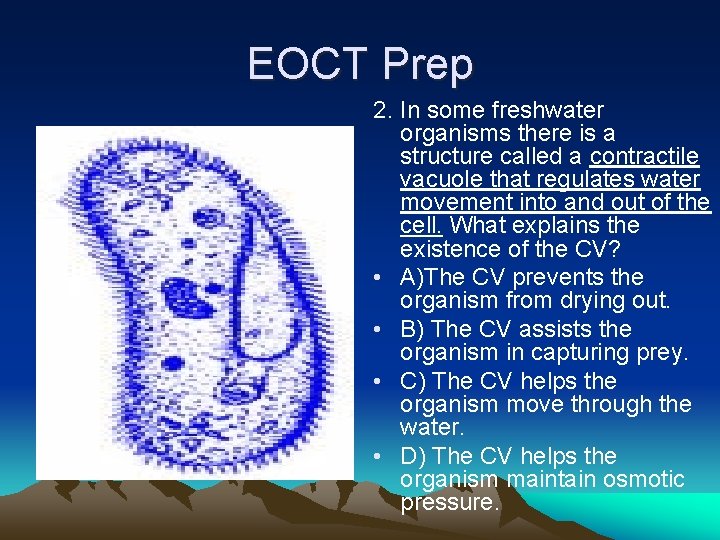 EOCT Prep 2. In some freshwater organisms there is a structure called a contractile