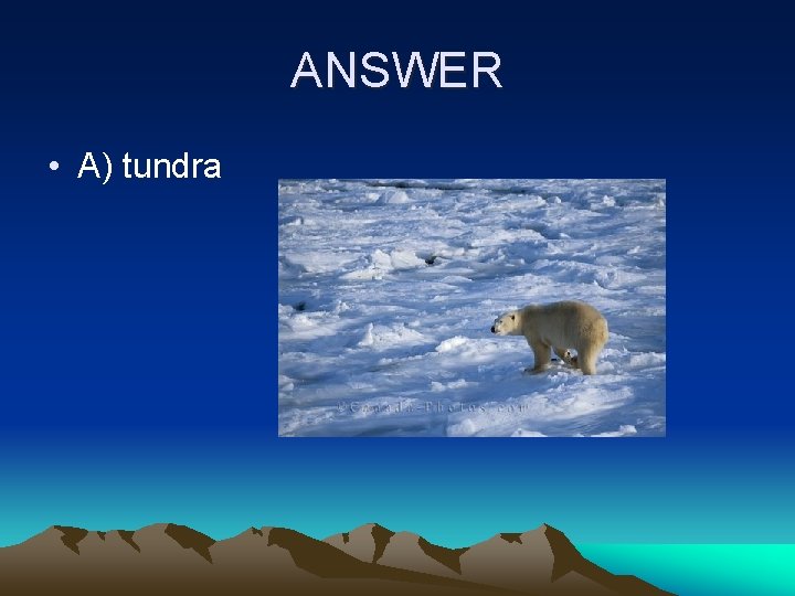 ANSWER • A) tundra 