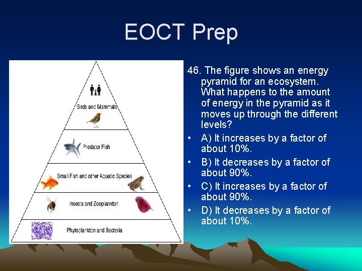 EOCT Prep 46. The figure shows an energy pyramid for an ecosystem. What happens