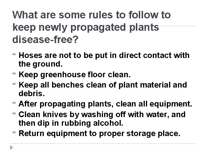 What are some rules to follow to keep newly propagated plants disease-free? Hoses are