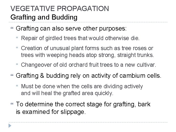 VEGETATIVE PROPAGATION Grafting and Budding Grafting can also serve other purposes: Repair of girdled