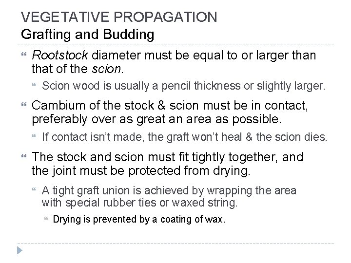 VEGETATIVE PROPAGATION Grafting and Budding Rootstock diameter must be equal to or larger than