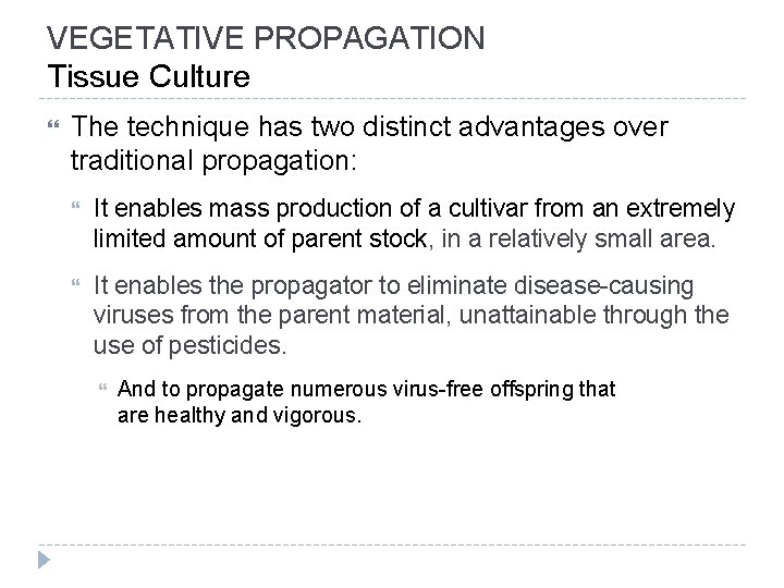 VEGETATIVE PROPAGATION Tissue Culture The technique has two distinct advantages over traditional propagation: It