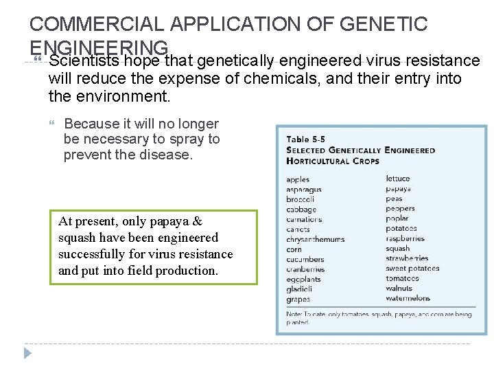 COMMERCIAL APPLICATION OF GENETIC ENGINEERING Scientists hope that genetically engineered virus resistance will reduce