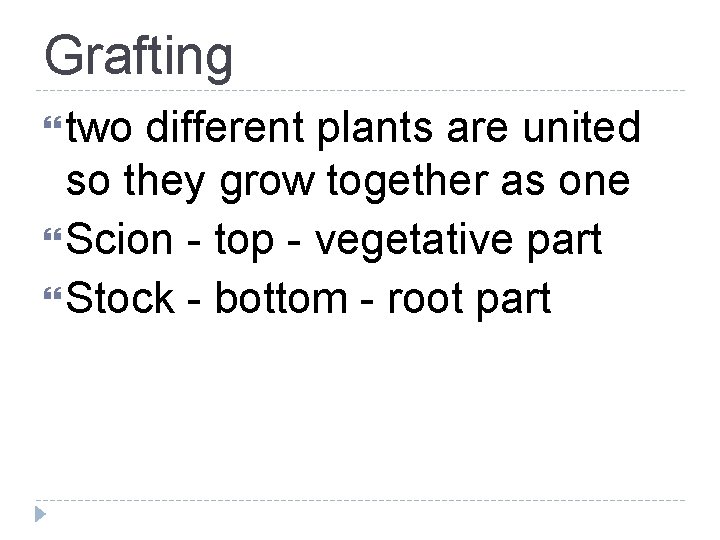 Grafting two different plants are united so they grow together as one Scion -