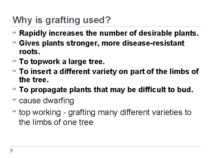 Why is grafting used? Rapidly increases the number of desirable plants. Gives plants stronger,