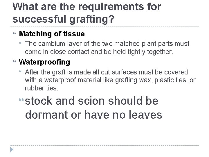 What are the requirements for successful grafting? Matching of tissue The cambium layer of