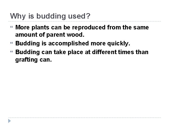 Why is budding used? More plants can be reproduced from the same amount of