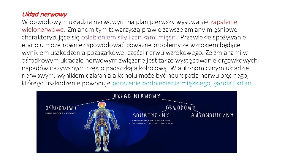 Układ nerwowy W obwodowym układzie nerwowym na plan pierwszy wysuwa się zapalenie wielonerwowe. Zmianom