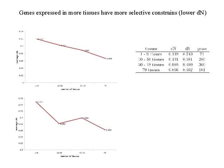 Genes expressed in more tissues have more selective constrains (lower d. N) Genes expressed in more tissues have more selective constrains (lower d. N)