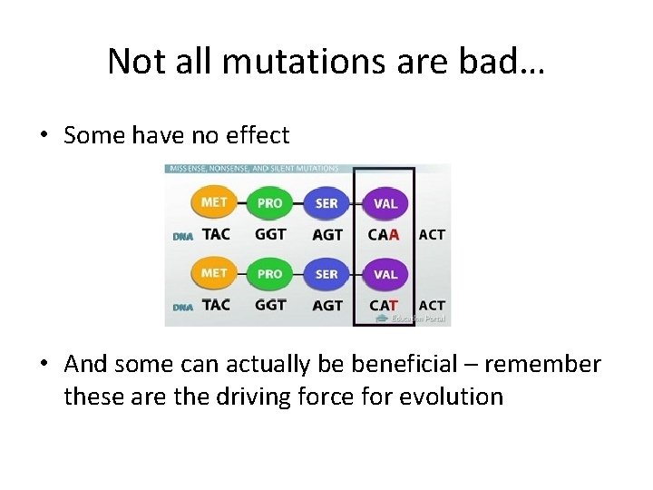 Not all mutations are bad… • Some have no effect • And some can