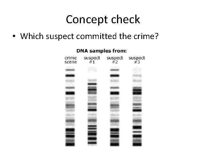Concept check • Which suspect committed the crime? Concept check • Which suspect committed the crime?