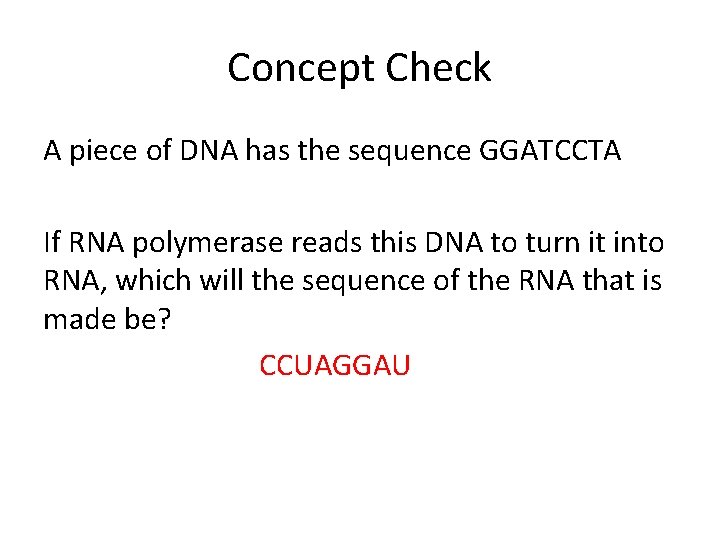 Concept Check A piece of DNA has the sequence GGATCCTA If RNA polymerase reads