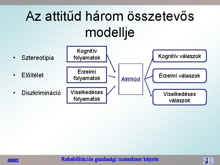 Az attitűd három összetevős modellje • Sztereotípia Kognitív folyamatok Kognitív válaszok • Előítélet Érzelmi