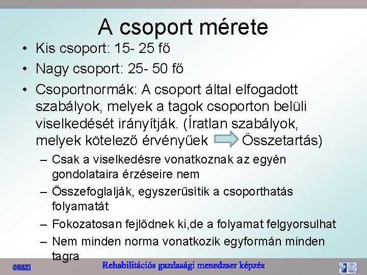 A csoport mérete • Kis csoport: 15 - 25 fő • Nagy csoport: 25