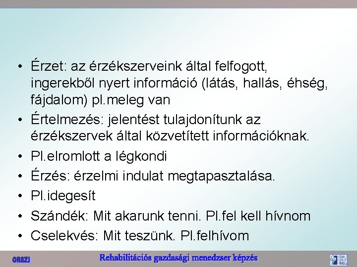  • Érzet: az érzékszerveink által felfogott, ingerekből nyert információ (látás, hallás, éhség, fájdalom)