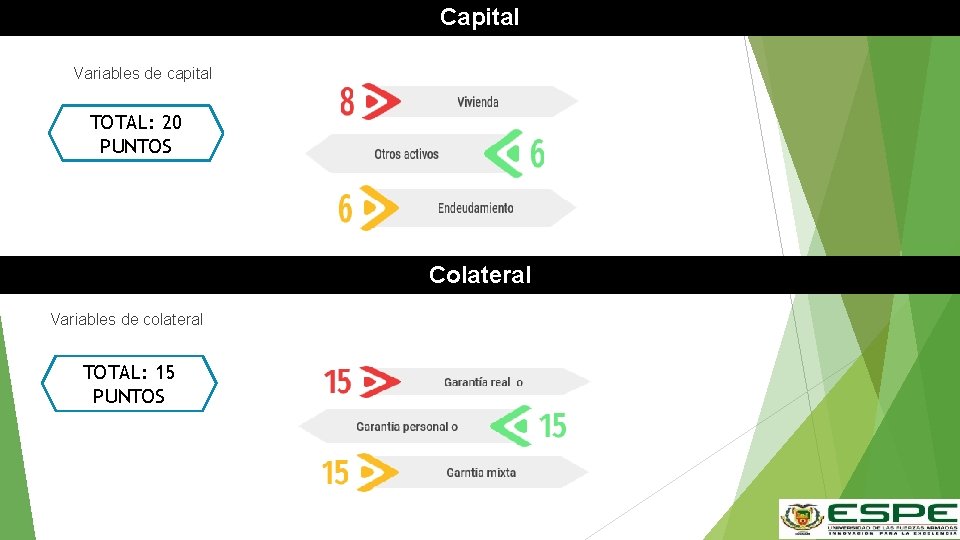 Capital Variables de capital TOTAL: 20 PUNTOS Colateral Variables de colateral TOTAL: 15 PUNTOS