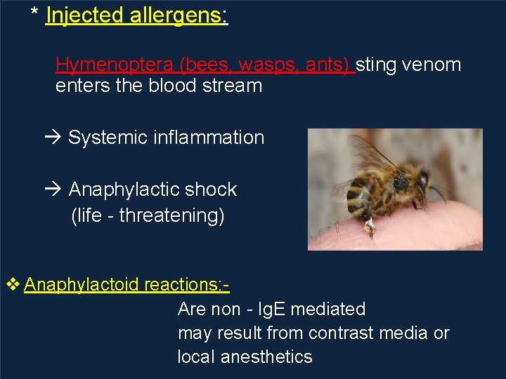 * Injected allergens: Hymenoptera (bees, wasps, ants) sting venom enters the blood stream Systemic