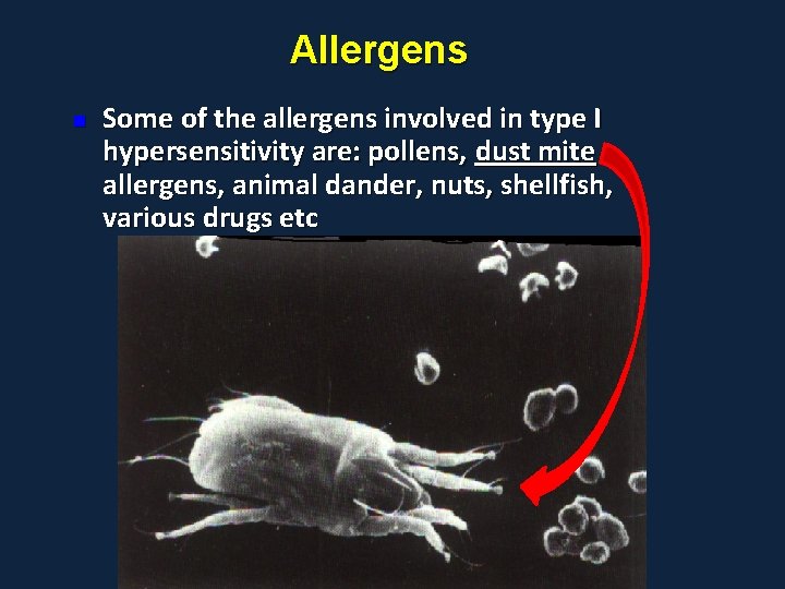 Allergens n Some of the allergens involved in type I hypersensitivity are: pollens, dust