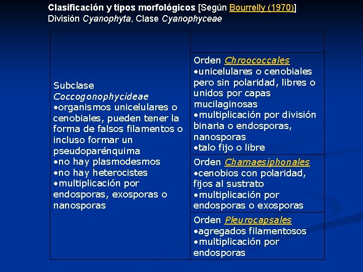 Clasificación y tipos morfológicos [Según Bourrelly (1970)] División Cyanophyta, Clase Cyanophyceae Subclase Coccogonophycideae •