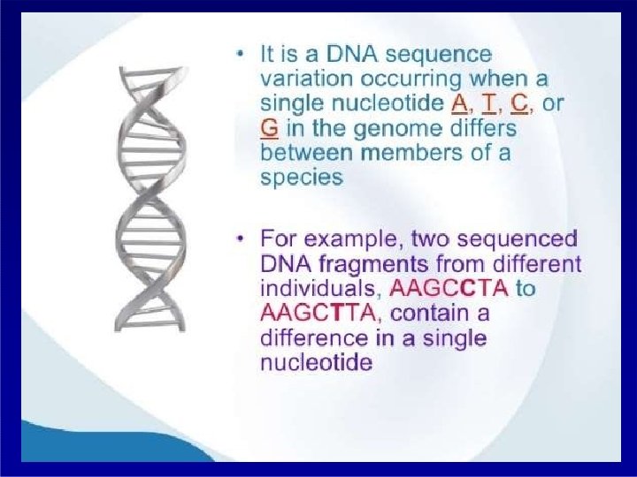 10/8/2017 NIBGE Ph. D lecture 