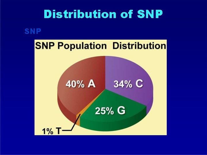 Distribution of SNP 